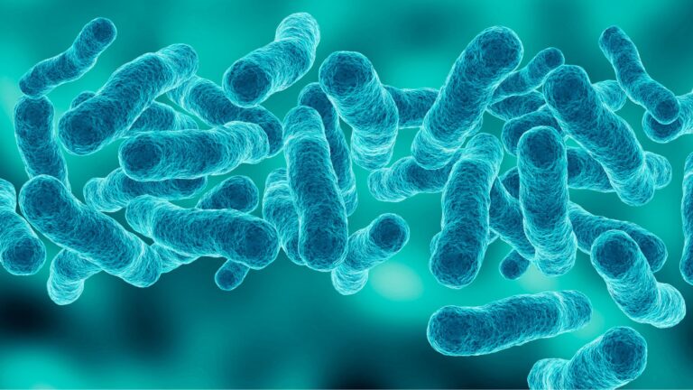 Safeguarding Health: UV water treatment as a Legionella risk minimisation solution